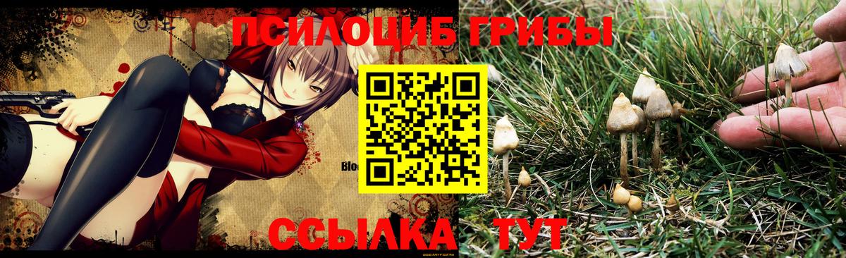 Псилоцибиновые грибы MAGIC MUSHROOMS Иваново